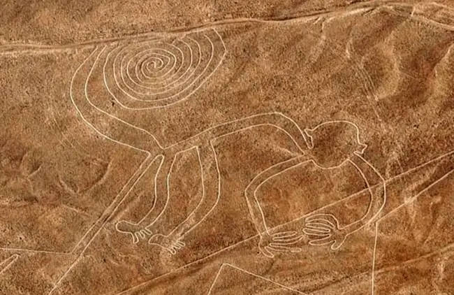 nazca lines from pisco